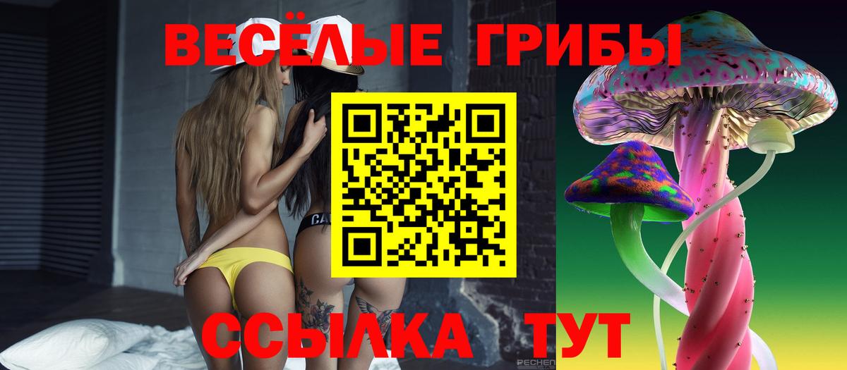 Псилоцибиновые грибы Psilocybine cubensis  Вход с VPN  Озёры  Галлюциногенные грибы GOLDEN TEACHER 